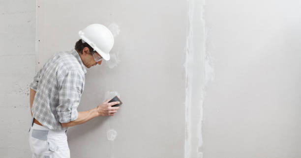 Best Repainting for Renovations  in Eastpointe, MI