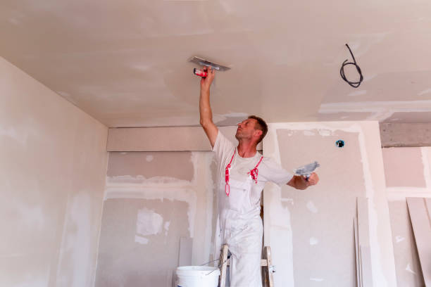 Best Fire-Damaged Drywall Repair  in Eastpointe, MI